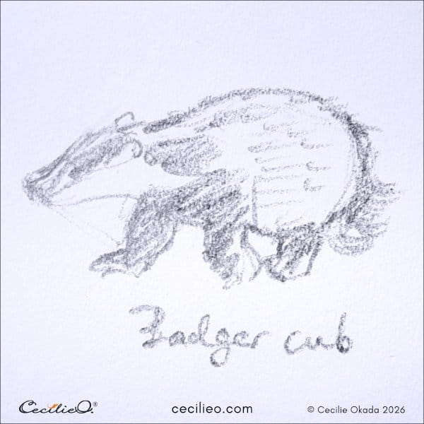 Messy, curious pencil sketch of a young badger cub exploring.