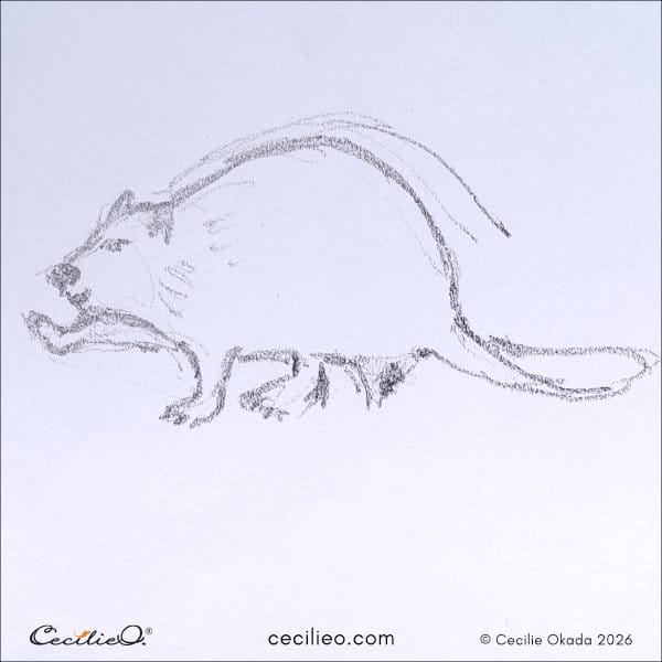 Energetic, simple sketch of a beaver mid-tail-clap, capturing movement.