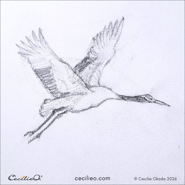 Sweeping, elegant curves of a crane captured in mid-flight.