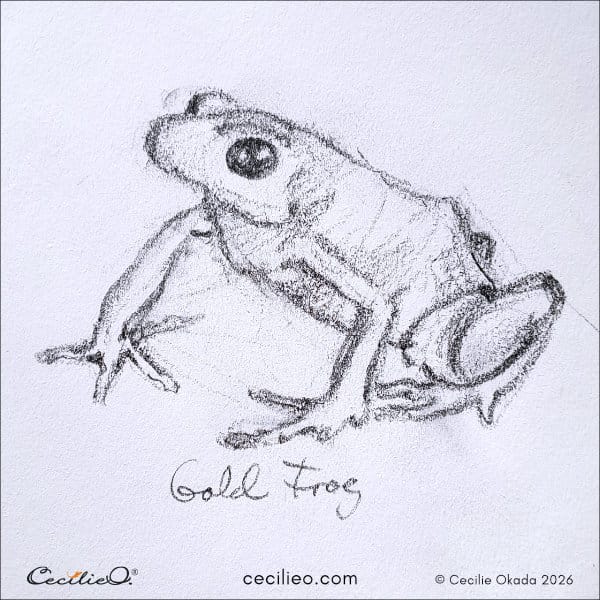 Loose sketch of a frog in a hesitant posture.