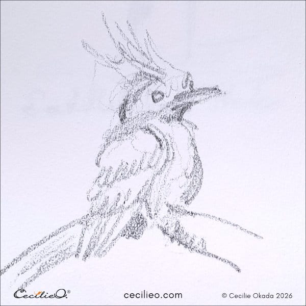 Silhouette sketch of a windblown blue jay with an arrogant stance.