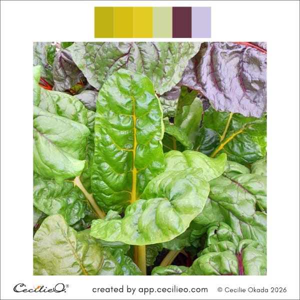 Color swatches from a photo of vibrant beet leaves, using the Manual Color Picker.