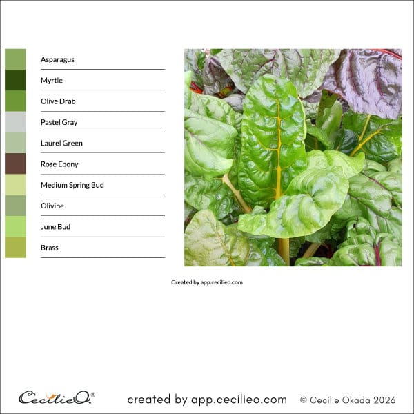 Color swatches from a photo of vibrant beet leaves, using the Auto Color Picker.