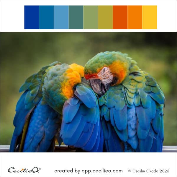 Colorful macaws inspire colorful swatches.