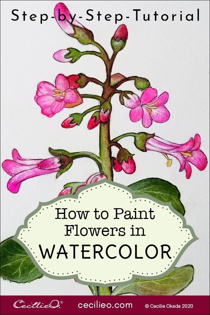 How to Paint Flowers in Watercolor: Pink Princess Escallonia Post feature image