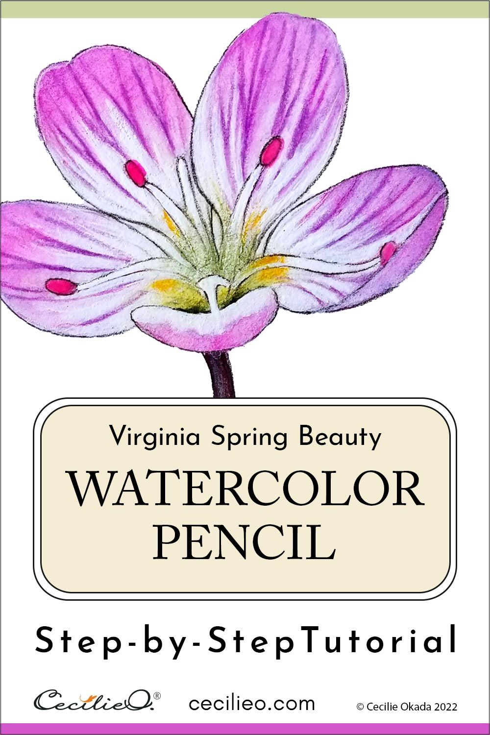 Watercolor Pencil Tutorial: A Fresh, Beautiful Flower