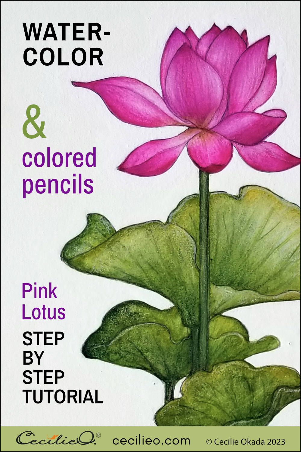 How to paint a lotus flower watercolor with graceful, beautiful petals. Realistic, intricate details with colored pencils fin