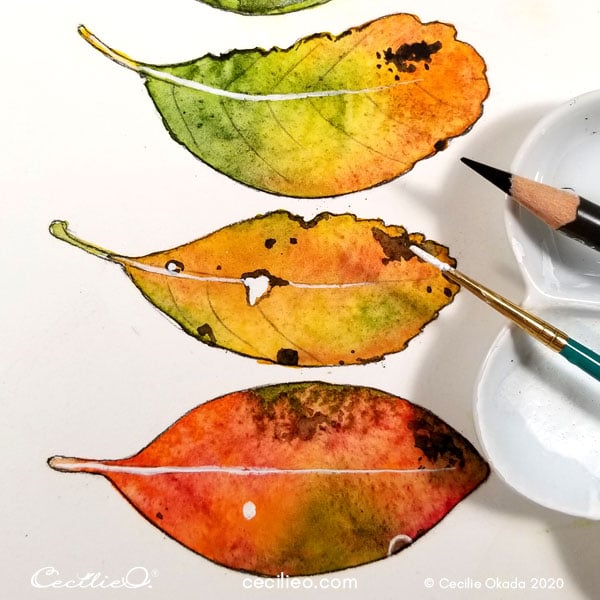 Painting white areas with white gouache, as well as the veins.