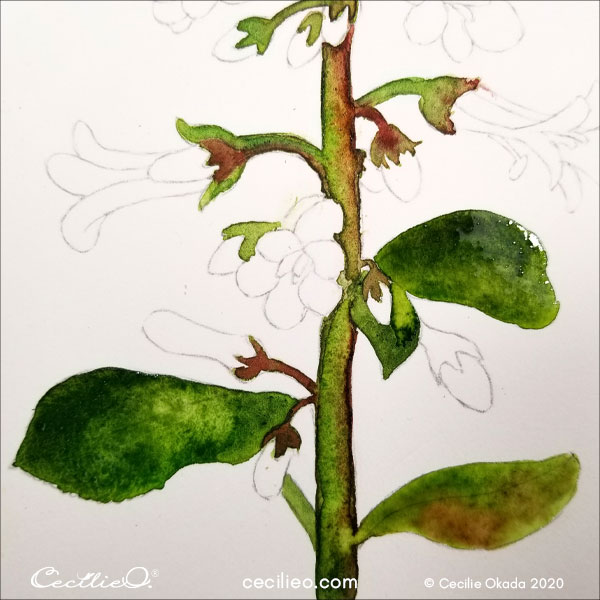 Painting the leaves with dark green watercolor.