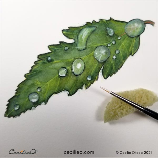 Painting highlights on the water drops.