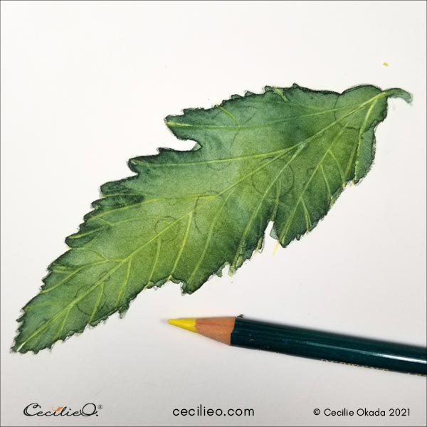 Drawing with green colored pencil again.