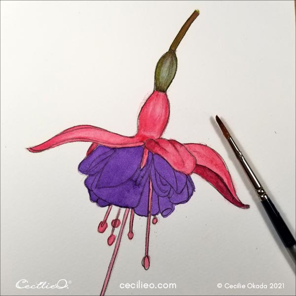 Activating the watercolor pencil marks with water.