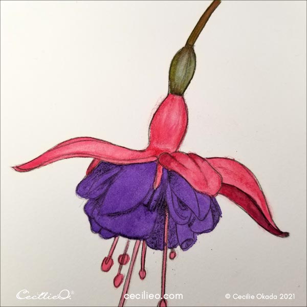 Drawing shadows on the purple petals. 