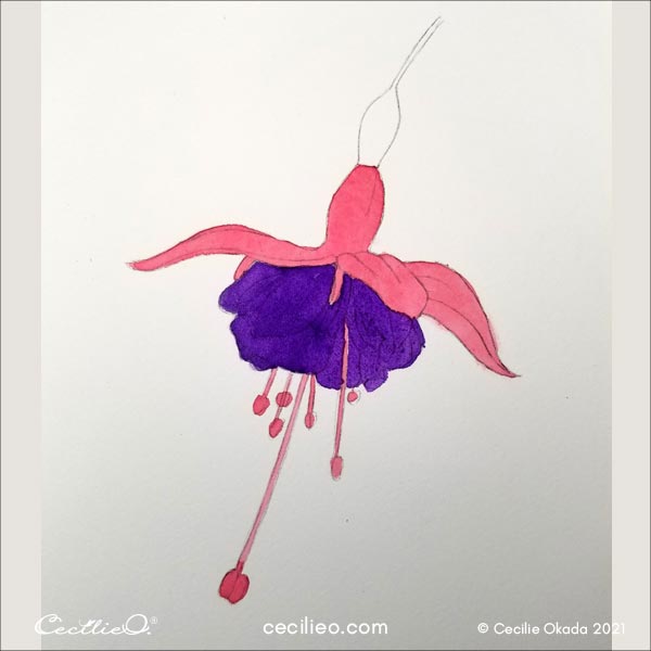 Next, paint the purple petals.