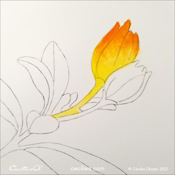 Add orange watercolor and create a gradiant.