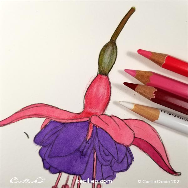 Drawing 3D effects on the pink petals. 