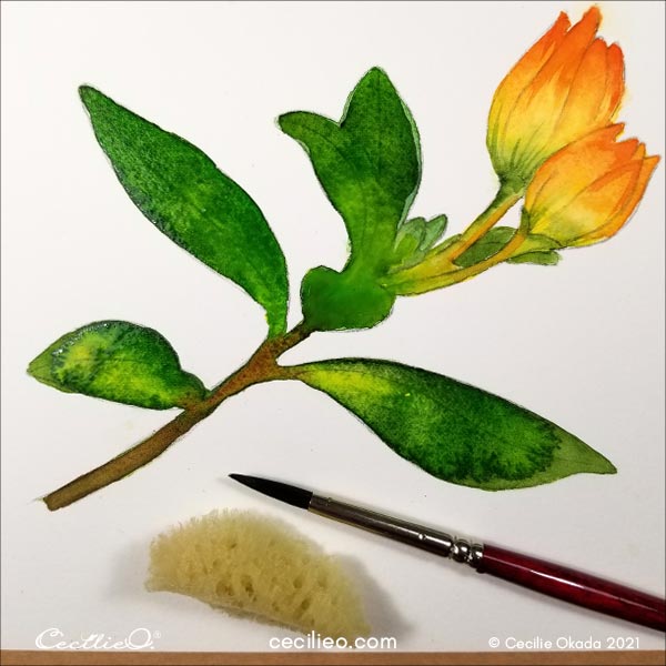 Paint all the leaves with variations of green watercolor.