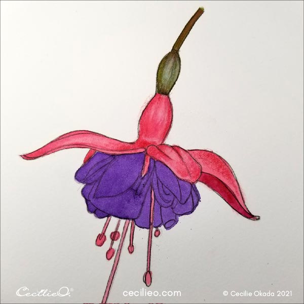 Complete drawing 3D effects on the pink petals. 