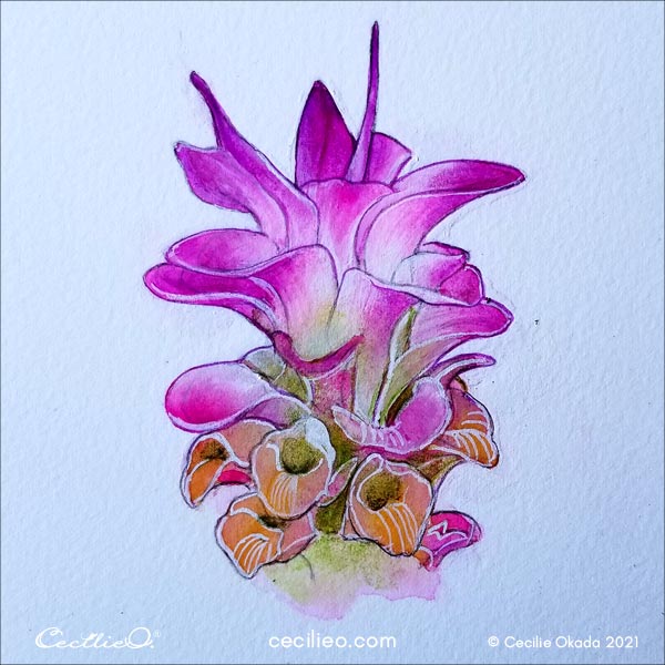 The completed watercolor lily painting. 