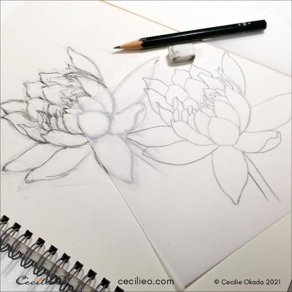 Sketching the lotus flower.