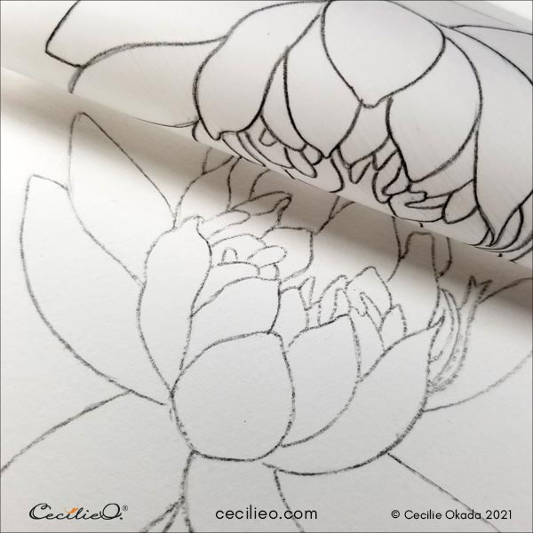Transferring the lotus flower outline to watercolor paper.