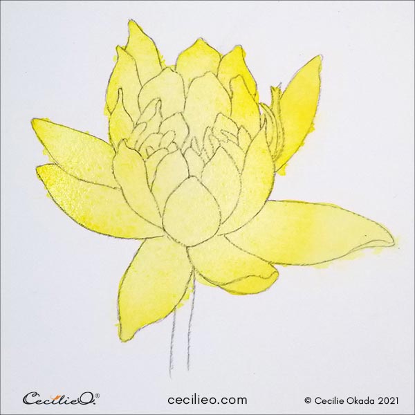 painting the whole flower with a yellow watercolor base.