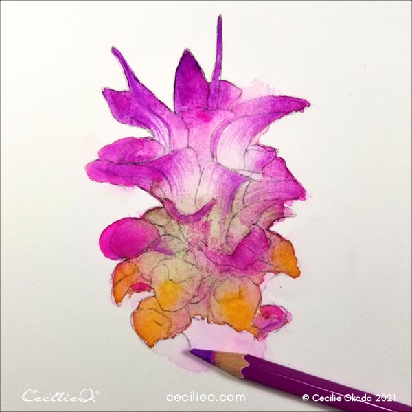 Drawing the pink lines on the petals with a colored pencil.