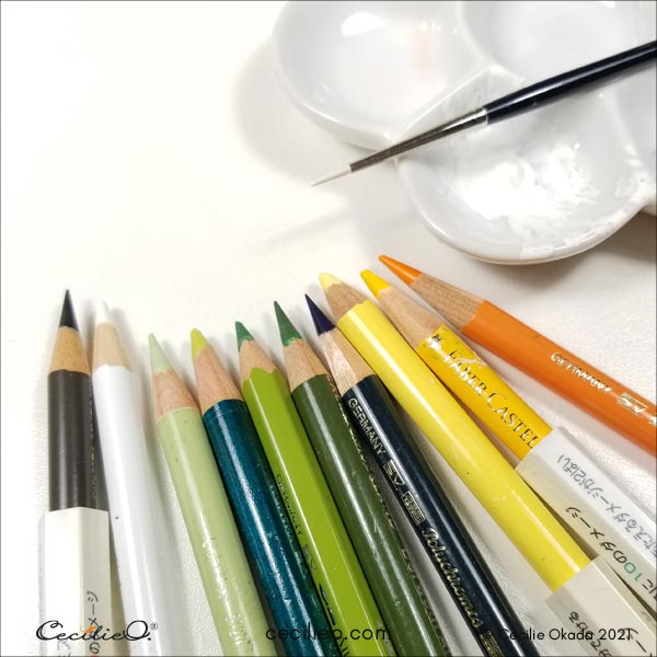 The colored pencils that I used that I used.