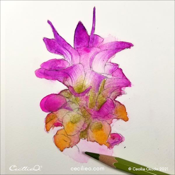 Highlighting the green parts of the flower with a colored pencil.