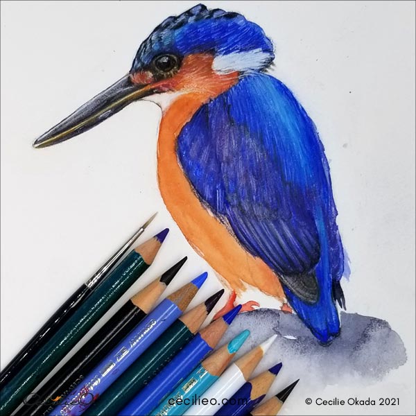 Using a wide range of colors for the feathers. 