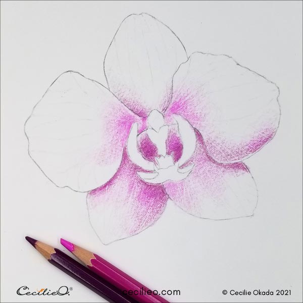 Drawing the shadows with watercolor pencils. 