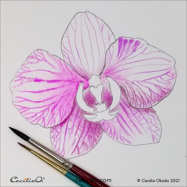 Activating the watercolor pencil with water. 