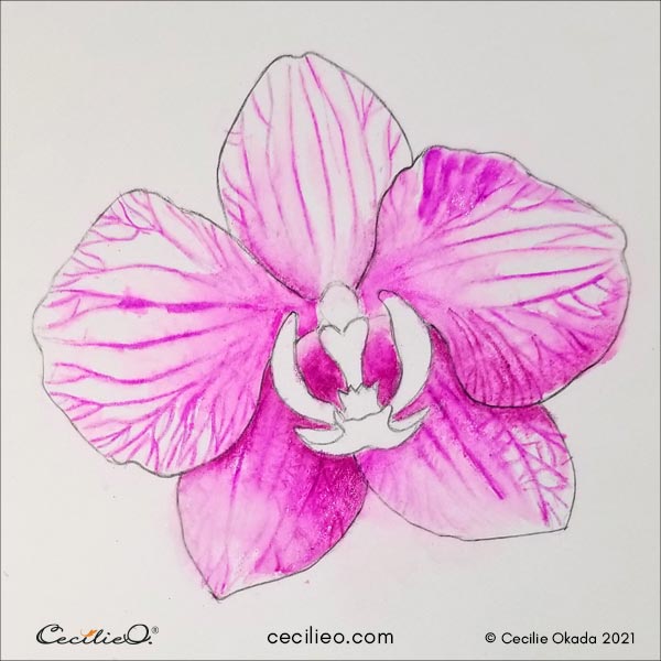 Activating the watercolor pencil on the whole flower with water. 