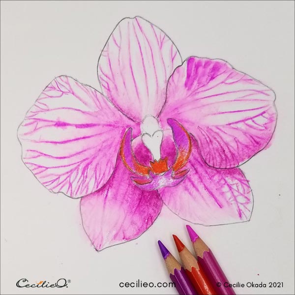 Coloring the central part of the orchid.