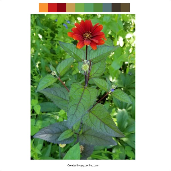 Color palette for the watercolor painting.