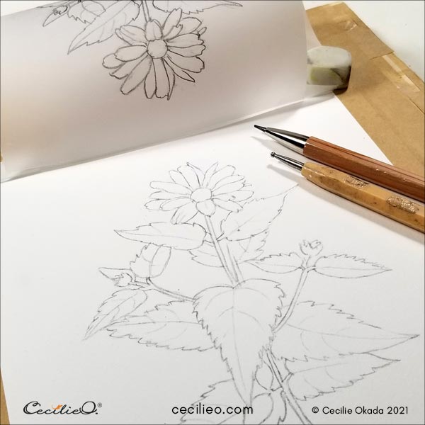 Transfer of the clean outline of the flower to watercolor paper. 