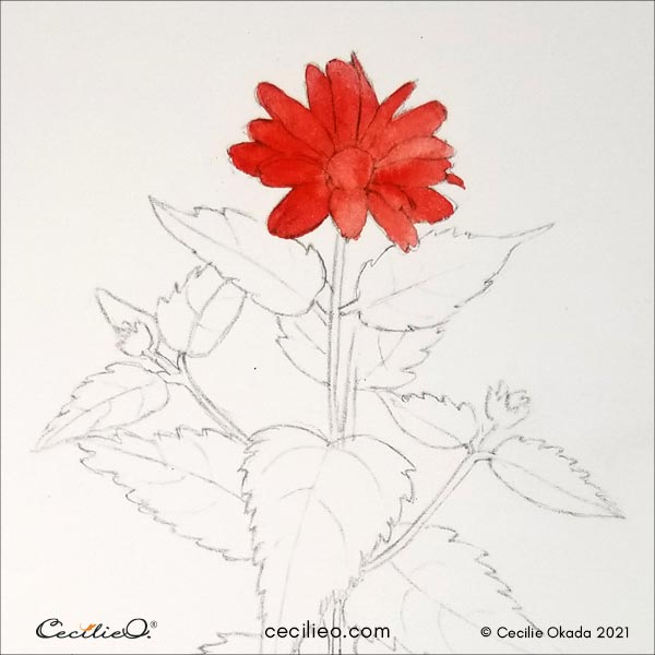 Painting with red watercolor for the flowerhead.