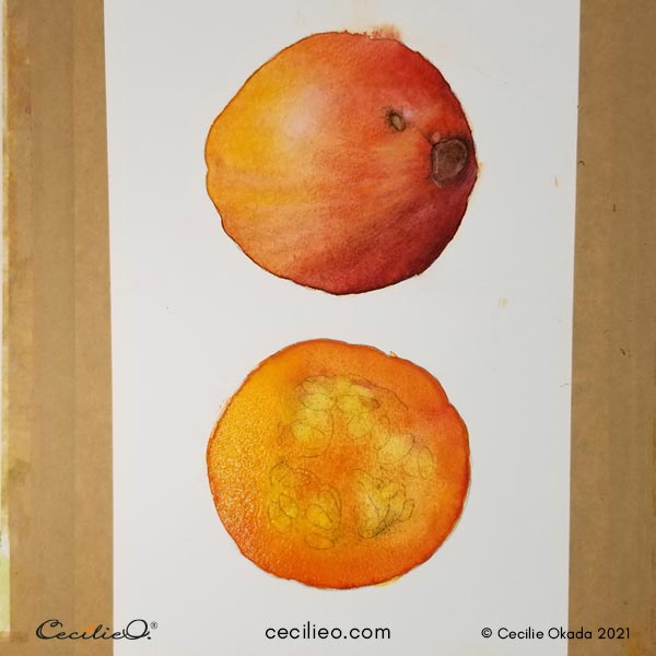 Adding more orange watercolor to the cut pumpkin.