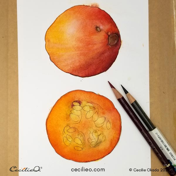 Drawing outlines with a sharp brown colored pencil.