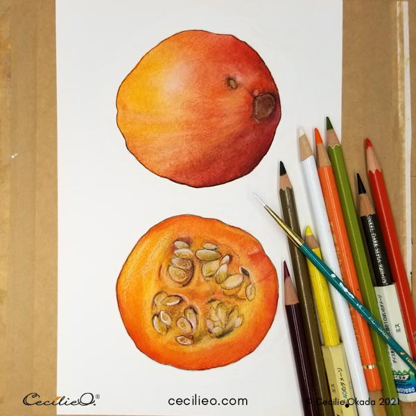 Completing the cut pumpkin with colored pencils and some white gouache. 