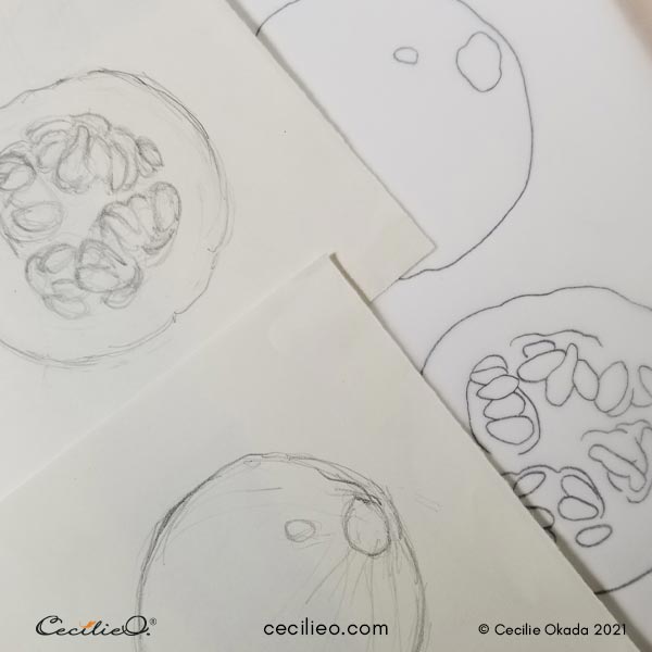 Drawing and tracing of whole and cut pumpkins.