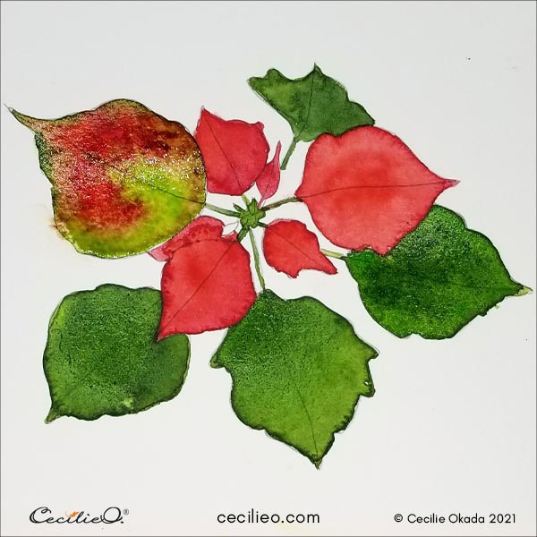 Completing the green leaves and the leaf with both green and red with watercolor.