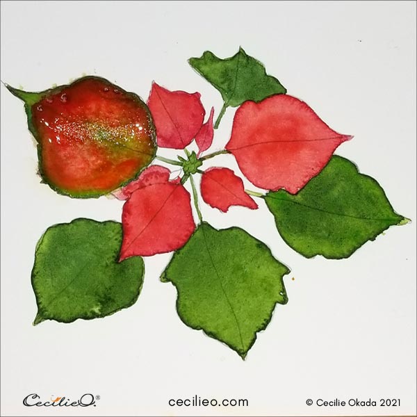 Painting the red and green leaf over with new layer of watercolor.