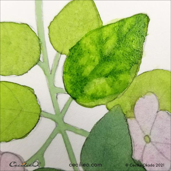Bleeding veins on the leaf with a darker green watercolor. 