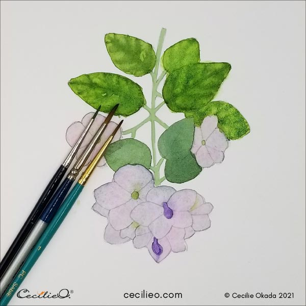 Used three smaller brush sizes to fin-tune some of the watercolor.