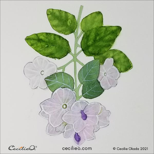 All the flower heads with white outlines.