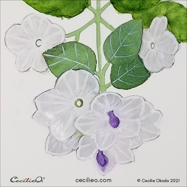 Painting the flower petals with a white layer on top of the grey. 