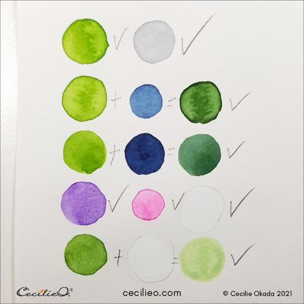 White flower watercolor palette.