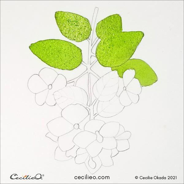 Watercolor the light green leaves.