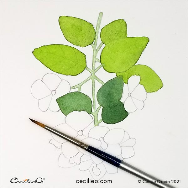 Watercolor the dark green leaves.